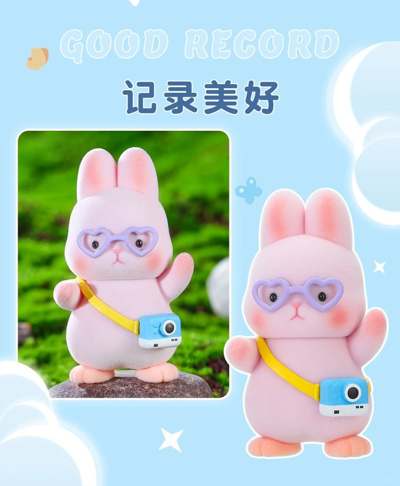 Liu Liu Rabbit Outing Series Blind Box