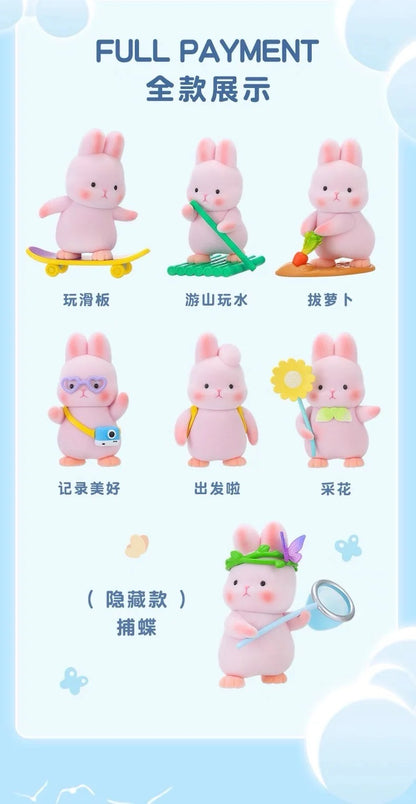 Liu Liu Rabbit Outing Series Blind Box