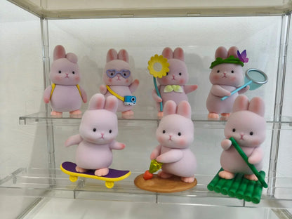 Liu Liu Rabbit Outing Series Blind Box