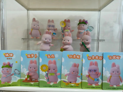 Liu Liu Rabbit Outing Series Blind Box