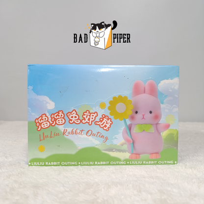 Liu Liu Rabbit Outing Series Blind Box