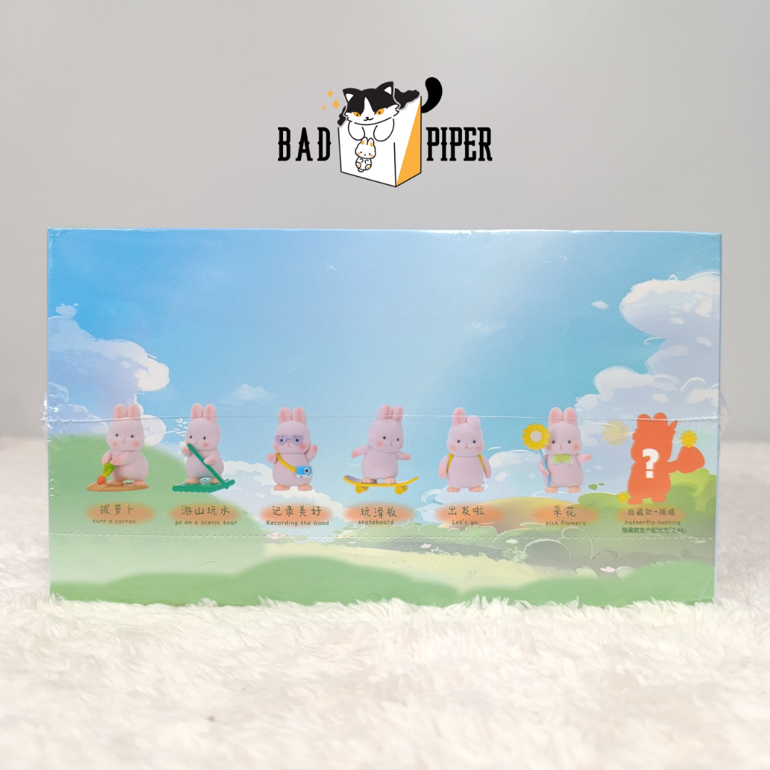Liu Liu Rabbit Outing Series Blind Box