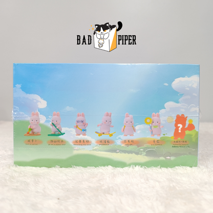Liu Liu Rabbit Outing Series Blind Box